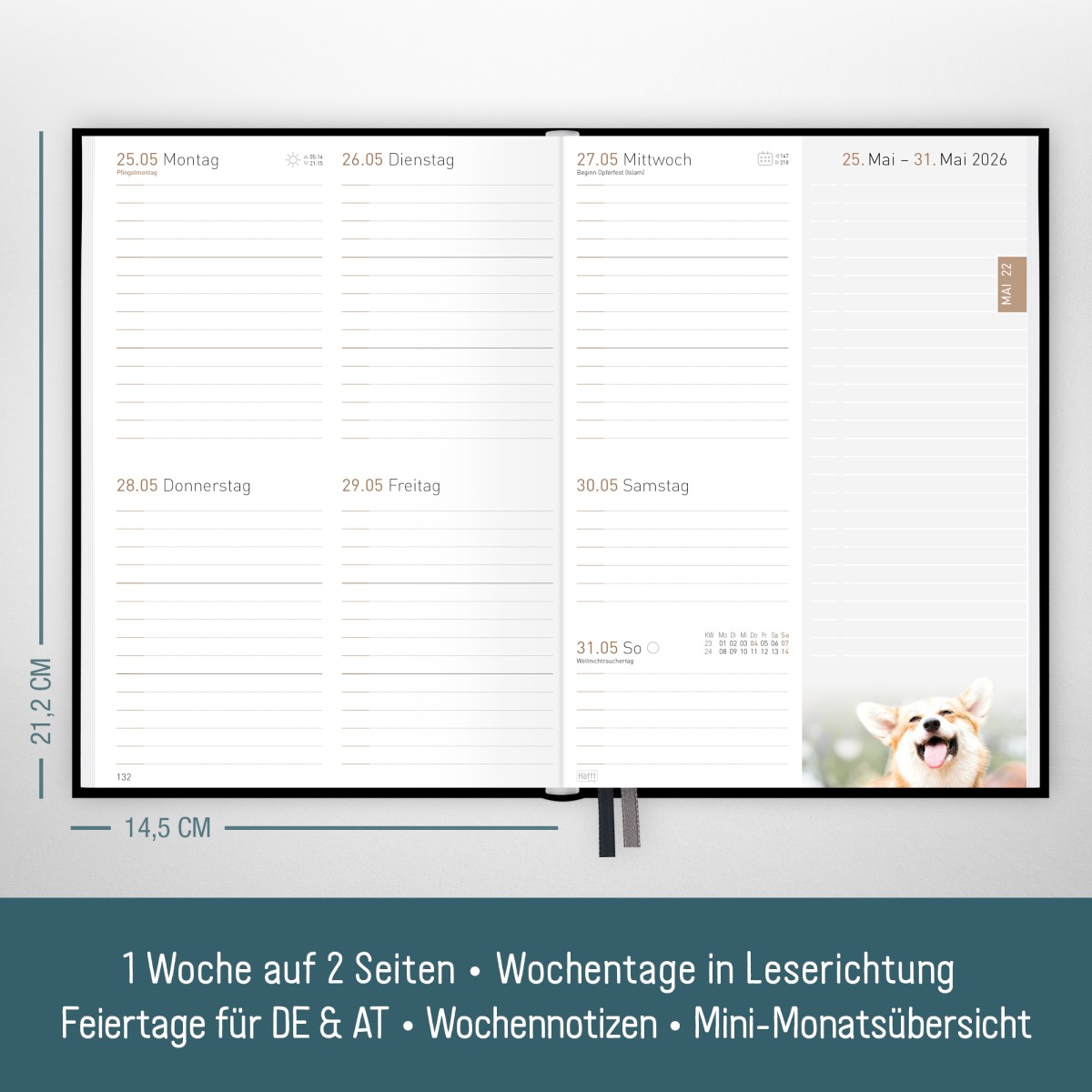 Chäff-Timer Classic 2025/2026 / 18 Monate / A5 / Black Edition / Häfft-Verlag – Bild 3