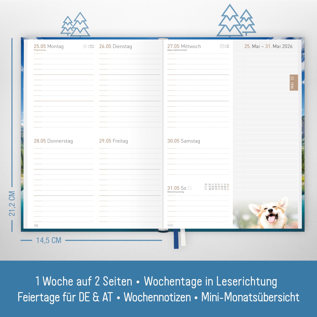 Chäff-Timer Classic 2025/2026 / 18 Monate / A5 / Time to dream / Häfft-Verlag – Bild 3