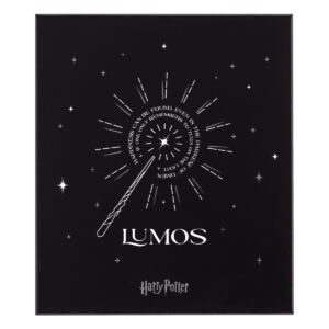 Moleskine "Harry-Potter"-Box Kaweco Tintenroller & Notizbuch / Hardcover / Large / Liniert